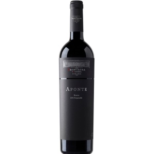 Aponte Reserva Toro DO