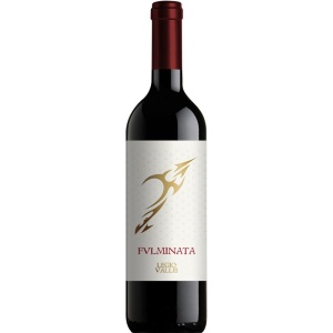Fulminata appassimento Vin de Pays Suisse